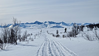 Rostro_20240317_65f6ef8309fa2.jpg