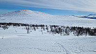 Rostro_20240317_65f6ef845fb0e.jpg