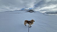 Rostro_20240401_660ad9f22a6e2.jpg