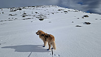 Rostro_20240401_660ad9f4bbde4.jpg