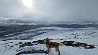 Rostro_20240401_660ad9f757f45.jpg