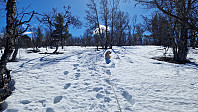 Rostro_20240413_661a979c14a40.jpg
