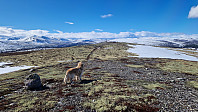 Rostro_20240413_661a979d7a2b9.jpg