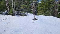 Rostro_20240421_66254e5bc6e73.jpg