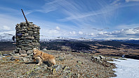 Rostro_20240427_662cf949b7b4a.jpg