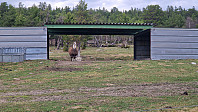 Rostro_20240523_664f9b4c82569.jpg