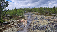 Rostro_20240523_664f9b5383b19.jpg