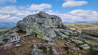 Rostro_20240526_66531b6d605bb.jpg