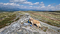 Rostro_20240526_66531b7541d40.jpg