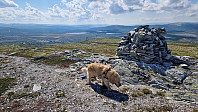 Rostro_20240526_66531b78ed4a0.jpg