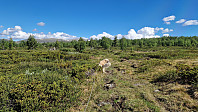 Rostro_20240601_665b25718213f.jpg