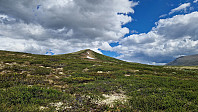 Rostro_20240601_665b257c9ba03.jpg