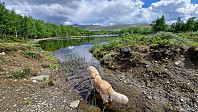 Rostro_20240601_665b25824889b.jpg