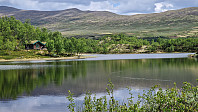 Rostro_20240601_665b2583b4f36.jpg