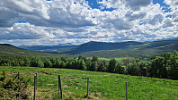 Rostro_20240601_665b25852c9ae.jpg