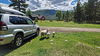 Rostro_20240601_665b258692436.jpg