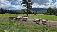 Rostro_20240601_665b25884bb62.jpg
