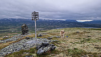 Rostro_20240601_665b6549b7539.jpg