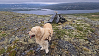 Rostro_20240601_665b654b3e8b0.jpg