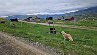 Rostro_20240601_665b654fd314c.jpg
