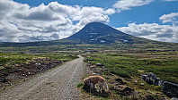 Rostro_20240602_665c86afc0a76.jpg
