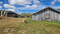 Rostro_20240602_665c86c0dce68.jpg