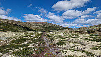 Rostro_20240602_665c86cb1a0b5.jpg