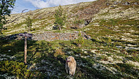 Rostro_20240606_66620d3d9c5d7.jpg