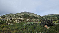 Rostro_20240609_6665a18256db7.jpg