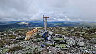 Rostro_20240609_6665a18536fc2.jpg