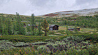 Rostro_20240609_6665a187c19b7.jpg