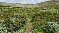 Rostro_20240622_6676da3ddb97c.jpg