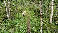 Rostro_20240623_6678441a93cd5.jpg