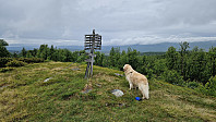 Rostro_20240623_667844220f231.jpg
