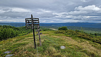Rostro_20240623_667844248f0f0.jpg