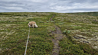 Rostro_20240623_66784d00f3a8b.jpg