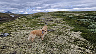 Rostro_20240623_66784d09c3904.jpg
