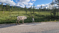 Rostro_20240630_6681ae6b458de.jpg