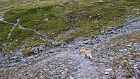 Rostro_20240630_6681ae79a7962.jpg