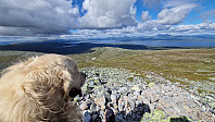 Rostro_20240630_6681ae7fc02df.jpg