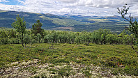 Rostro_20240701_66829fe06ca43.jpg