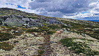 Rostro_20240701_66829fe33733b.jpg