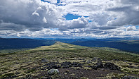 Rostro_20240701_66829fea06766.jpg