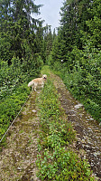 Rostro_20240703_6685a57fac170.jpg