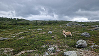 Rostro_20240703_6685a5818e806.jpg