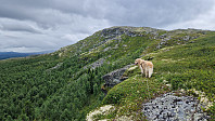 Rostro_20240703_6685a58991896.jpg