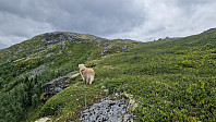 Rostro_20240703_6685a58b34965.jpg