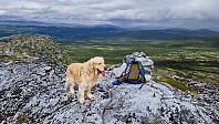 Rostro_20240703_6685a592a1fb0.jpg