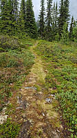Rostro_20240708_668c17c61e3c3.jpg