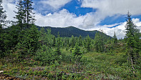 Rostro_20240709_668d71a62af31.jpg